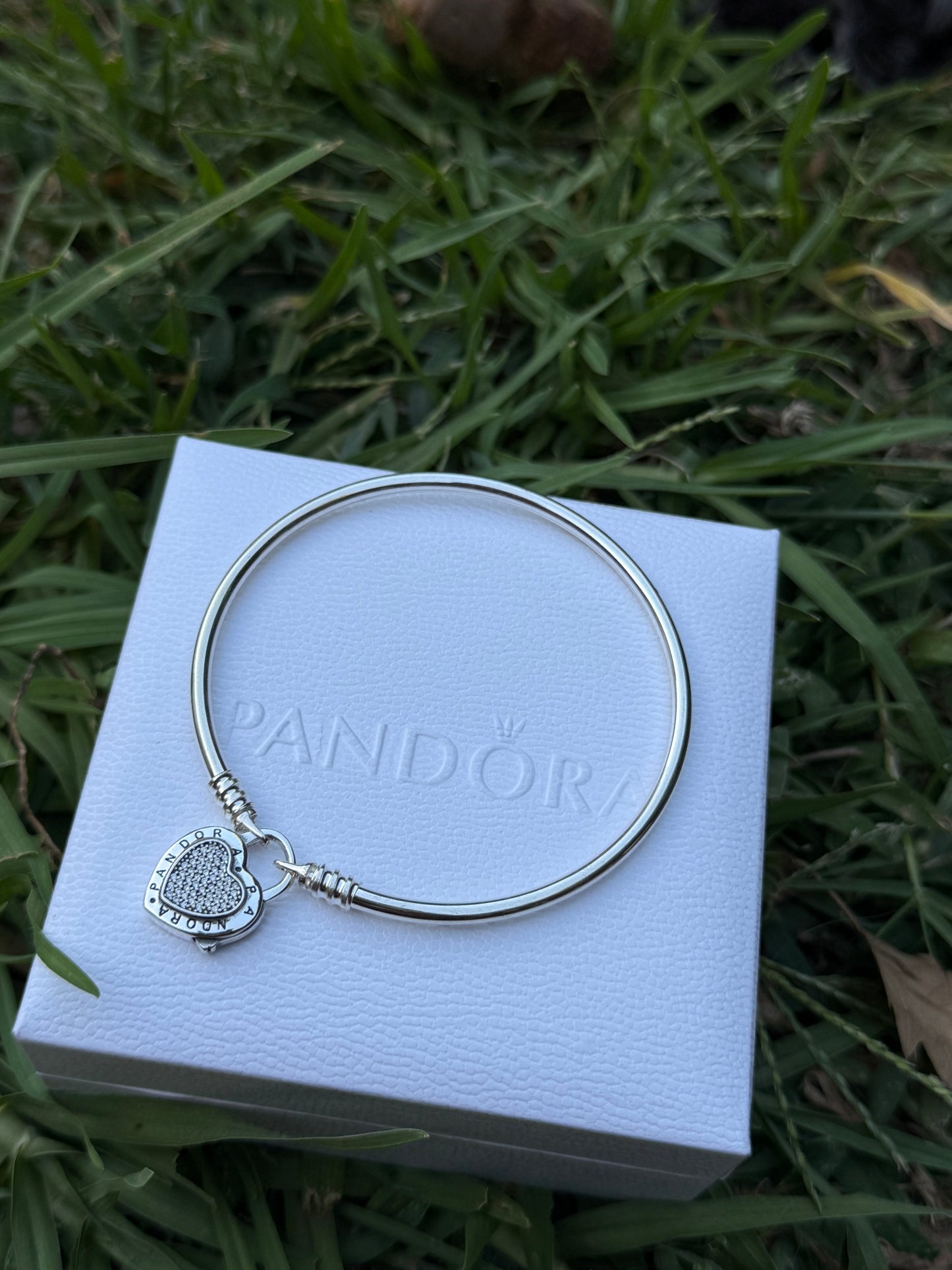 Pulsera Pandora candado rígida